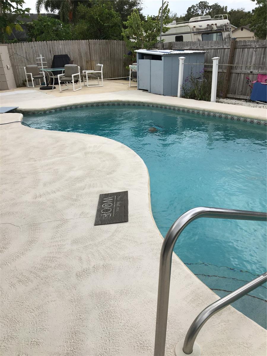 24 RED MAPLE CIRCLE