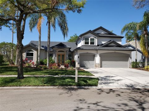 10218 GARDEN ALCOVE DRIVE TAMPA FL 33647
