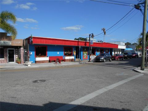 530 ATHENS STREET TARPON SPRINGS FL 34689