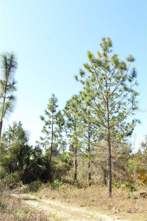 Tiny photo for 1267 N Jorie Terrace, Crystal River, FL 34429 (MLS # W7832087)