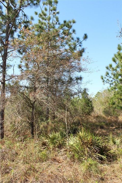 Tiny photo for 1267 N Jorie Terrace, Crystal River, FL 34429 (MLS # W7832087)