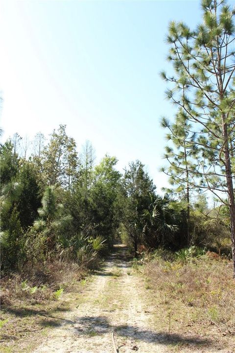 Tiny photo for 1267 N Jorie Terrace, Crystal River, FL 34429 (MLS # W7832087)