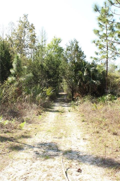 Tiny photo for 1267 N Jorie Terrace, Crystal River, FL 34429 (MLS # W7832087)