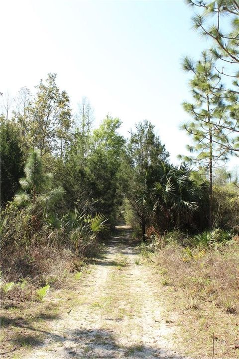 Tiny photo for 1267 N Jorie Terrace, Crystal River, FL 34429 (MLS # W7832087)