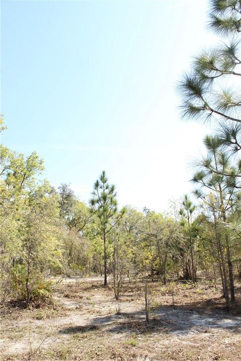 Tiny photo for 1267 N Jorie Terrace, Crystal River, FL 34429 (MLS # W7832087)