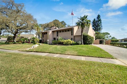 A home in TAMPA