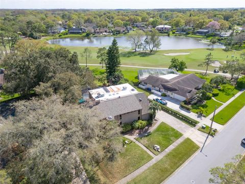 A home in TAMPA