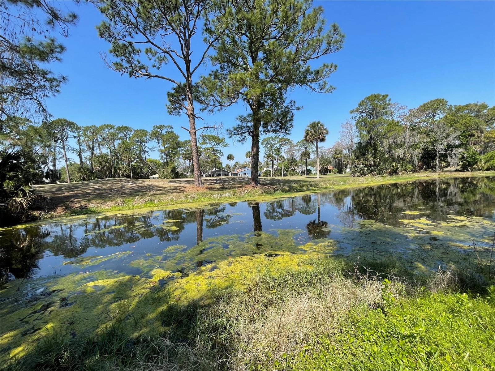 PELICAN BAY PH 02 - Residential