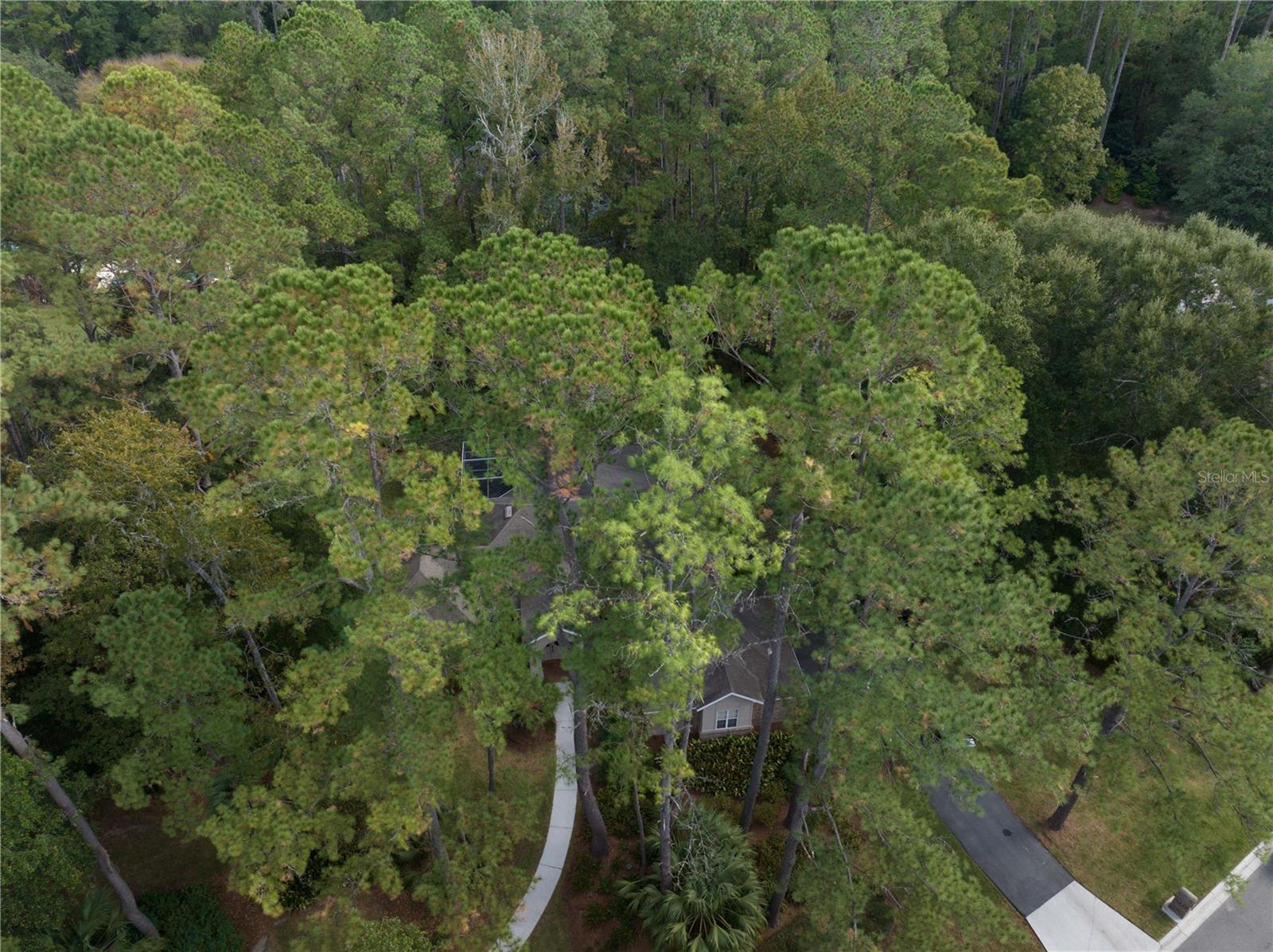 RICHMOND - Residential