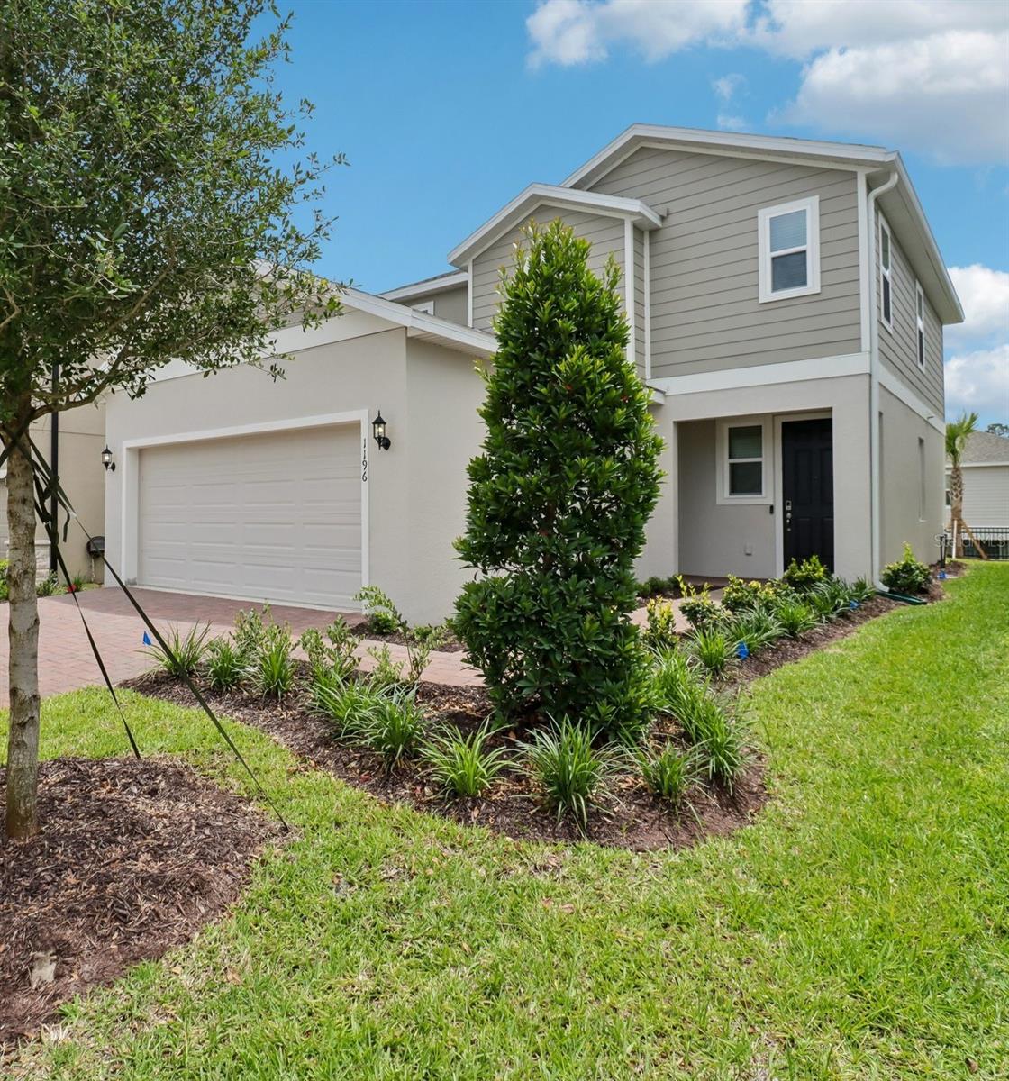 1196 HAPPY FOREST LOOP