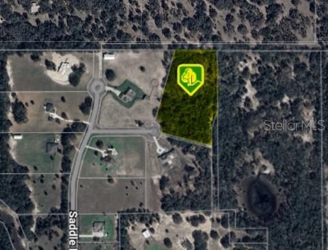 5707 WOODS VIEW COURT WEIRSDALE FL 32195