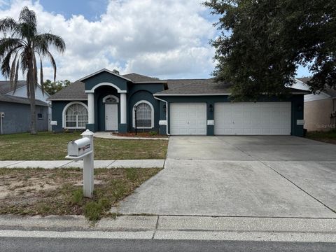 11232 ANDY DRIVE RIVERVIEW FL 33569