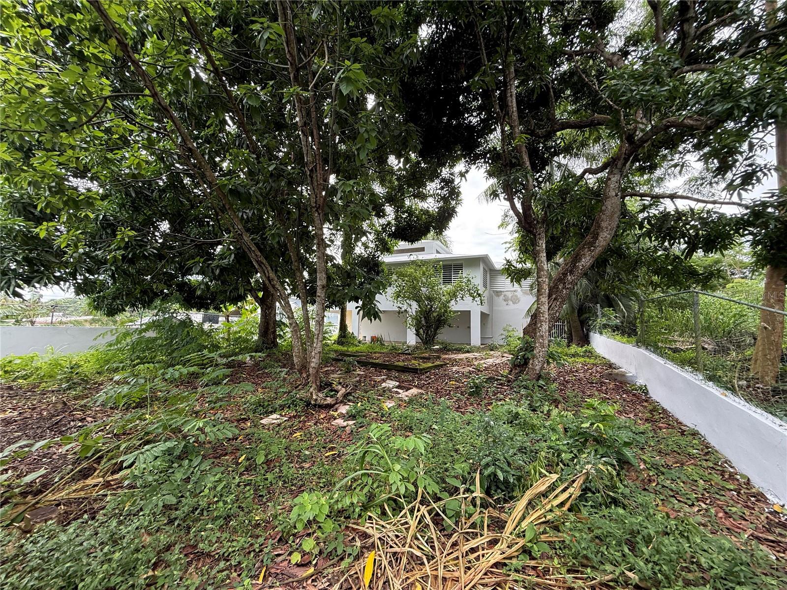 BO ORTIZ - Residential