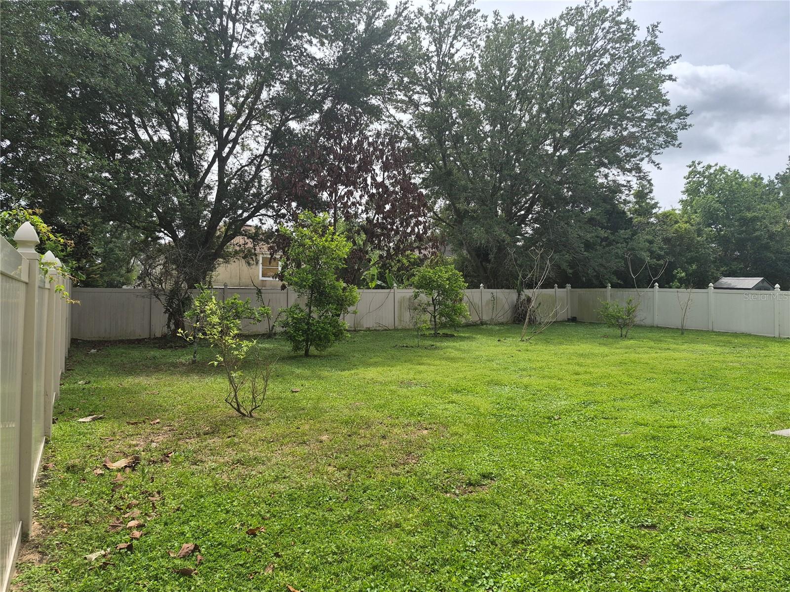 PALMETTO RIDGE - Residential