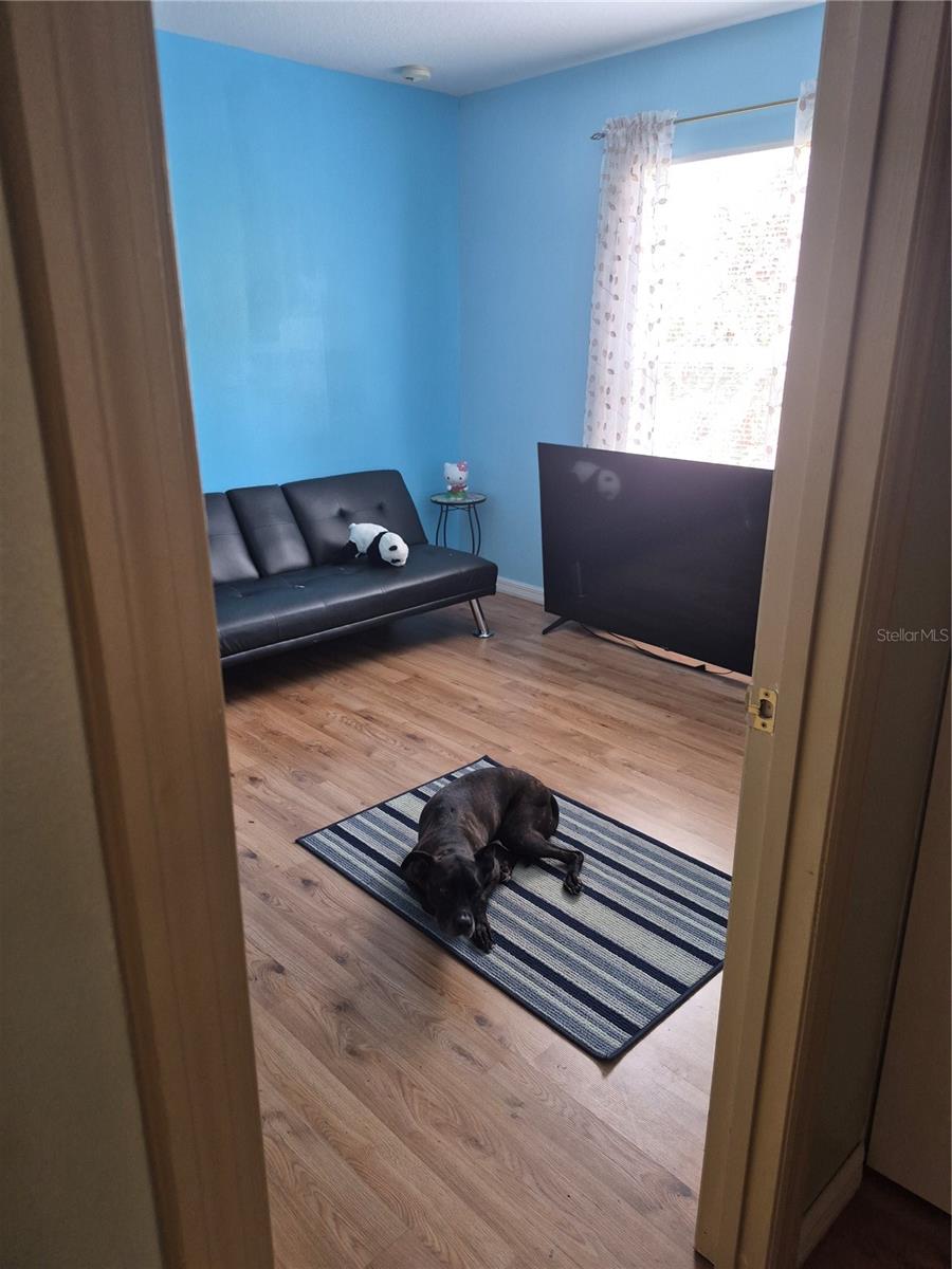 PALMETTO RIDGE - Residential