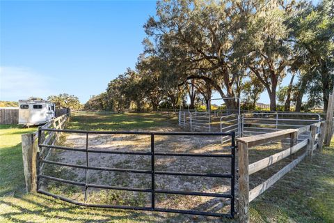 Tiny photo for 1551 SE 160 Street, Summerfield, FL 34491 (MLS # OM714148)