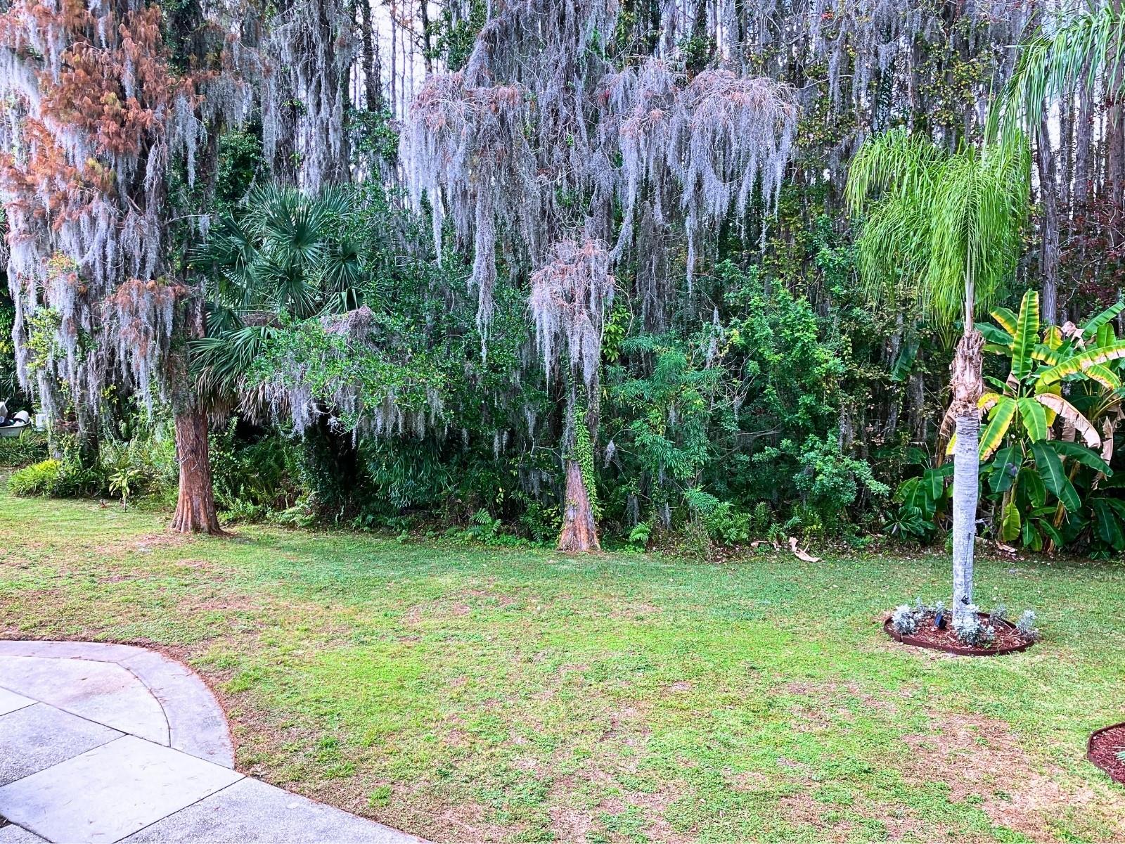 PARADISE LAKES RESORT CONDO - Residential