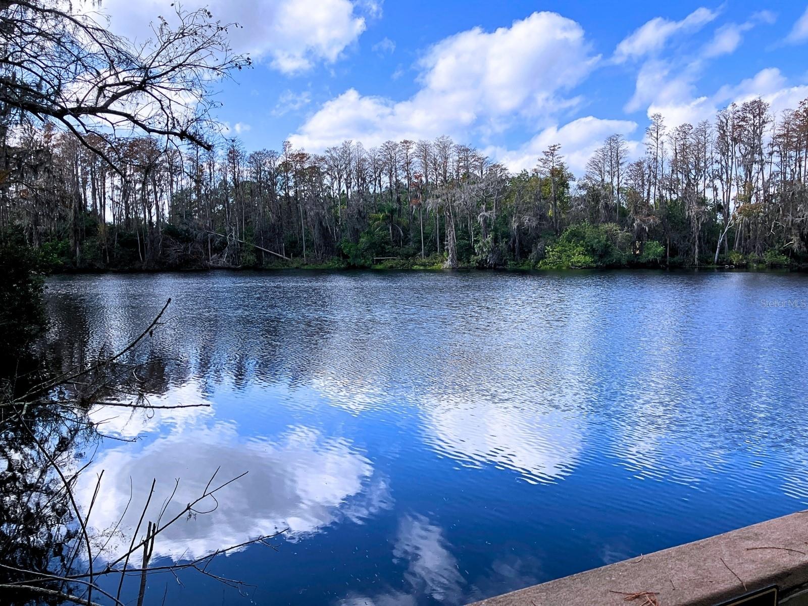 PARADISE LAKES RESORT CONDO - Residential