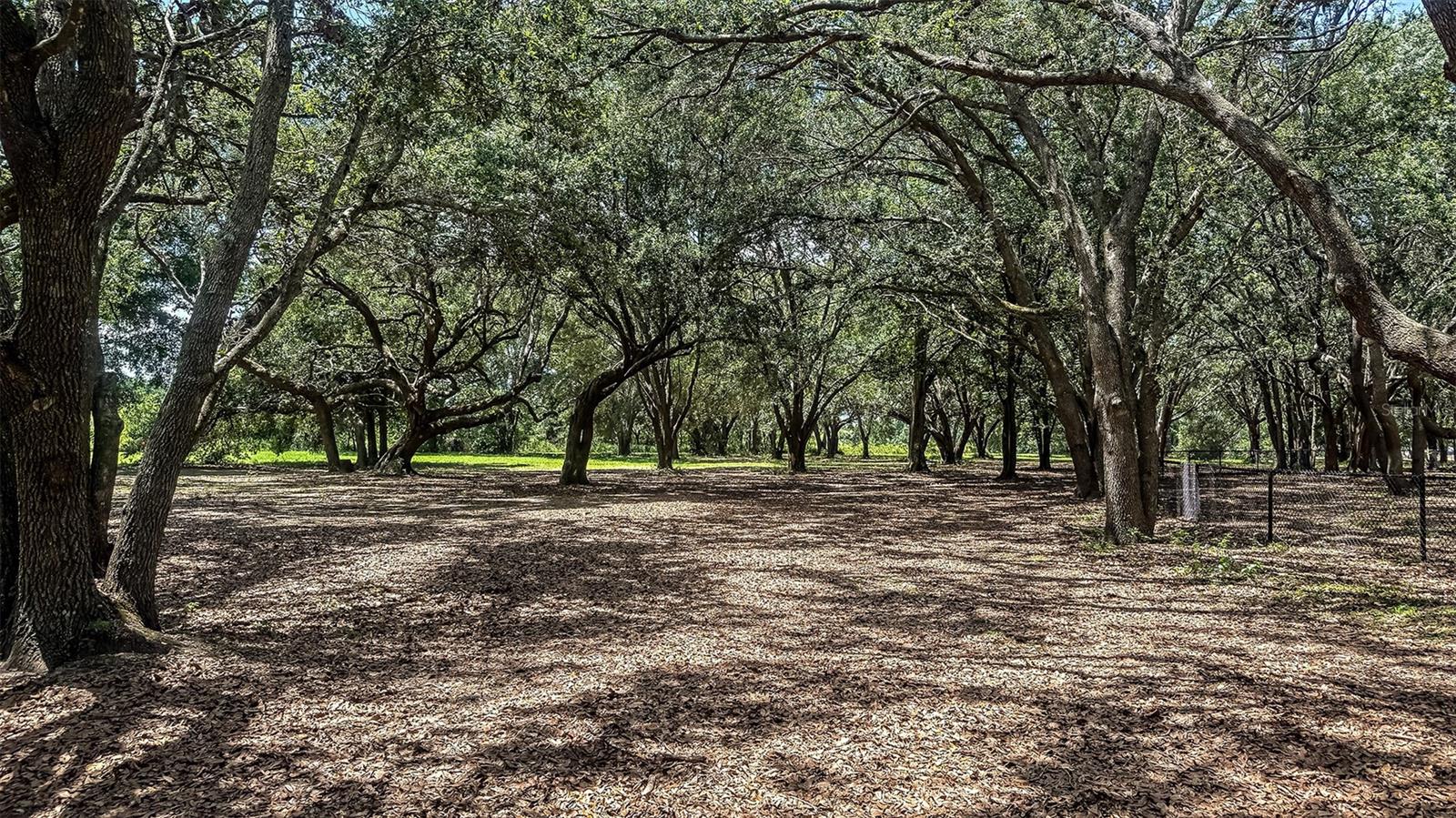 WATERSTONE - Residential