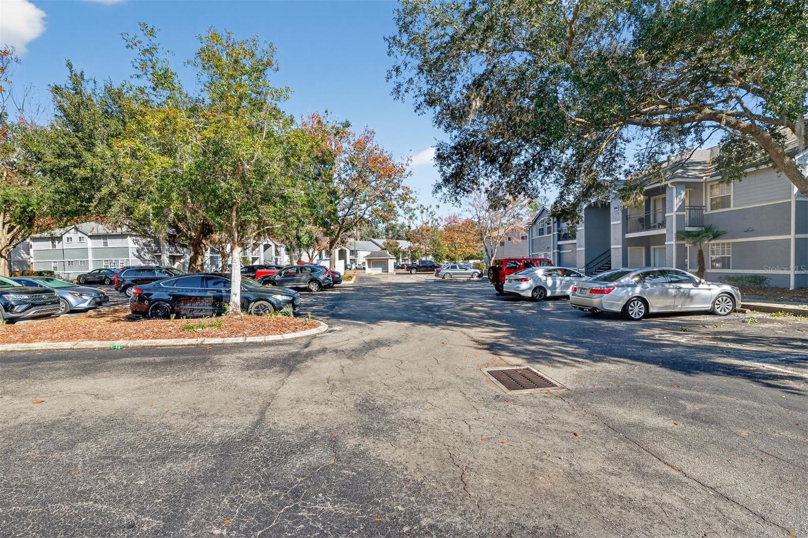 WINDSOR PARK AT GAINESVIL - Residential