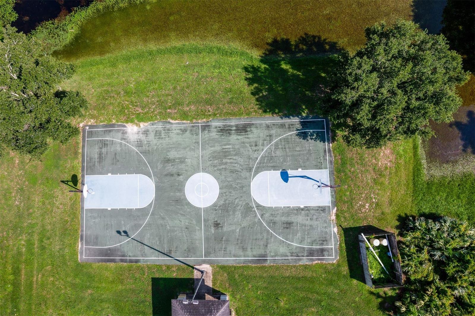 WINDSOR PARK AT GAINESVIL - Residential