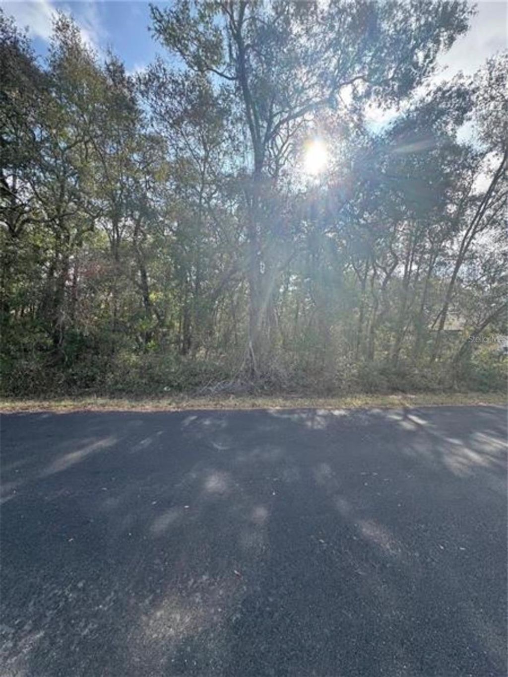 Photo of Tbd Locust Loop Terrace, Ocala, FL 34472 (MLS # OM720445)