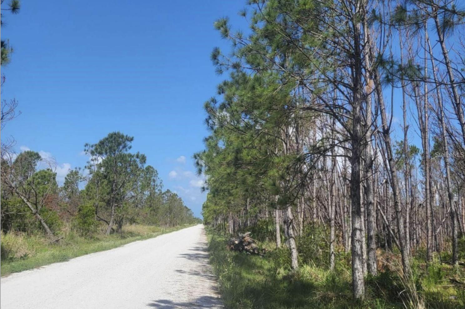 PORT CHARLOTTE SEC 064 - Residential Lease