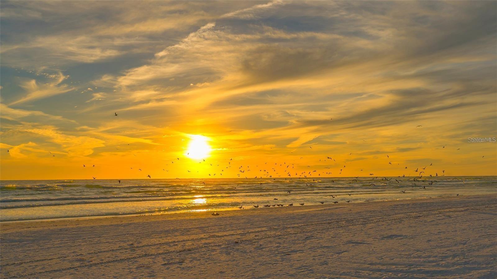 TORTOISE ESTATES - Residential