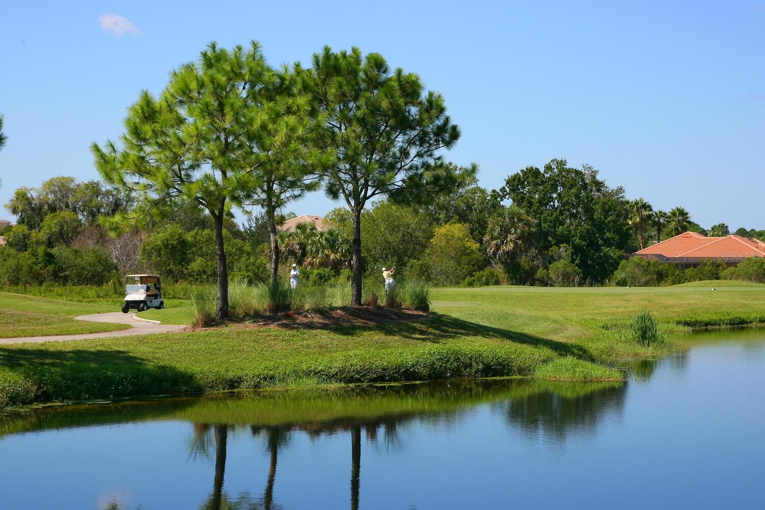 THE MEADOWS - Residential