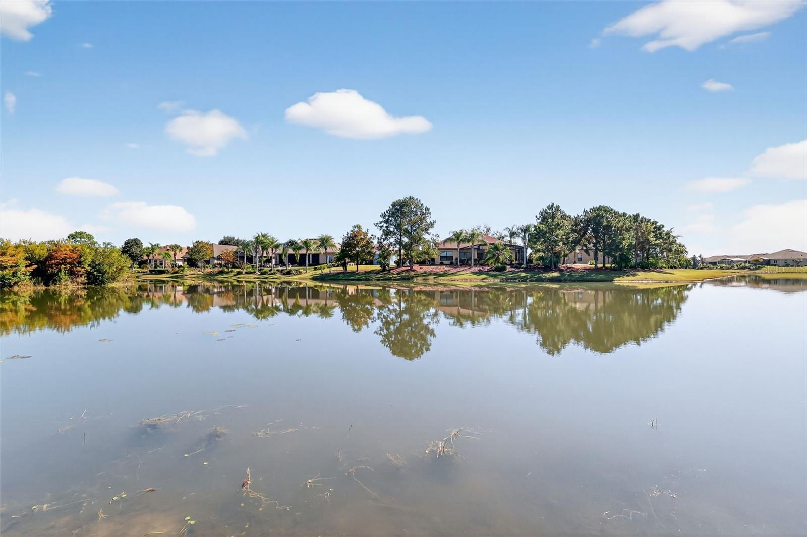 LAKES/MOUNT DORA PH 2 - Residential