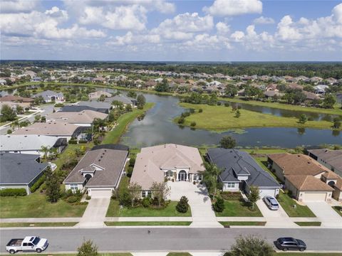 A home in MOUNT DORA