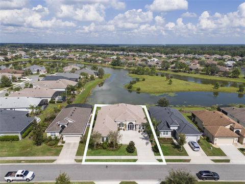 A home in MOUNT DORA