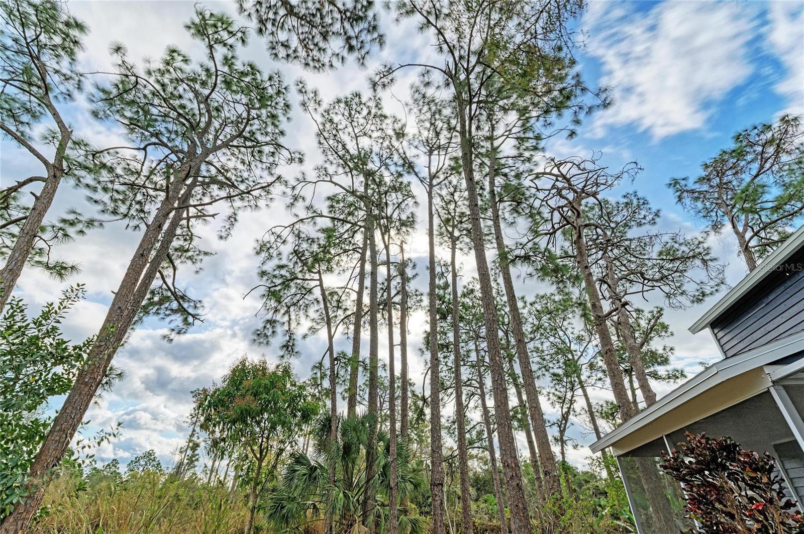 PORT CHARLOTTE SUB 26 - Residential