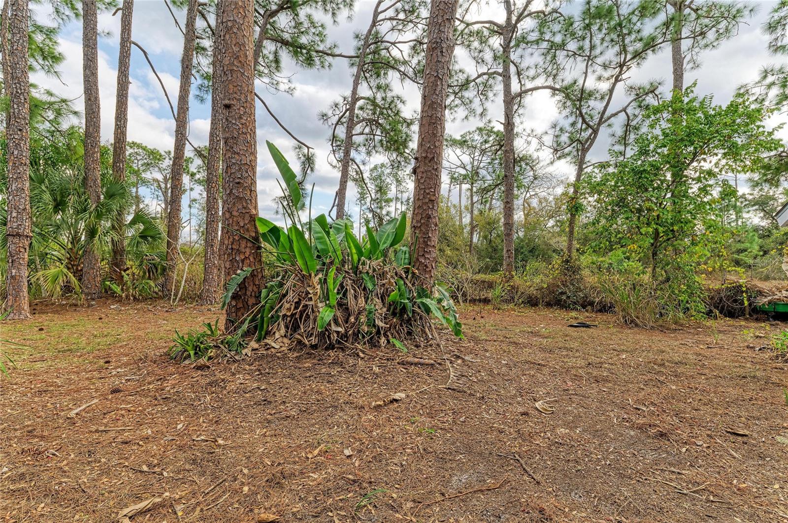 PORT CHARLOTTE SUB 26 - Residential