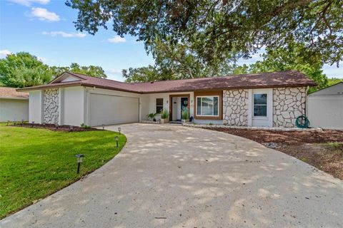 2824 PADDOCK DRIVE PALM HARBOR FL 34684