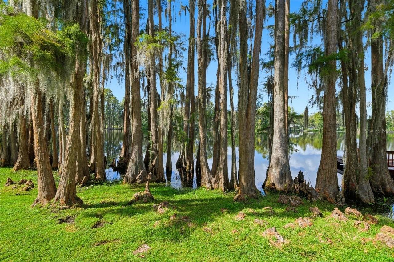 LAKE KELL CROSSINGS - Residential