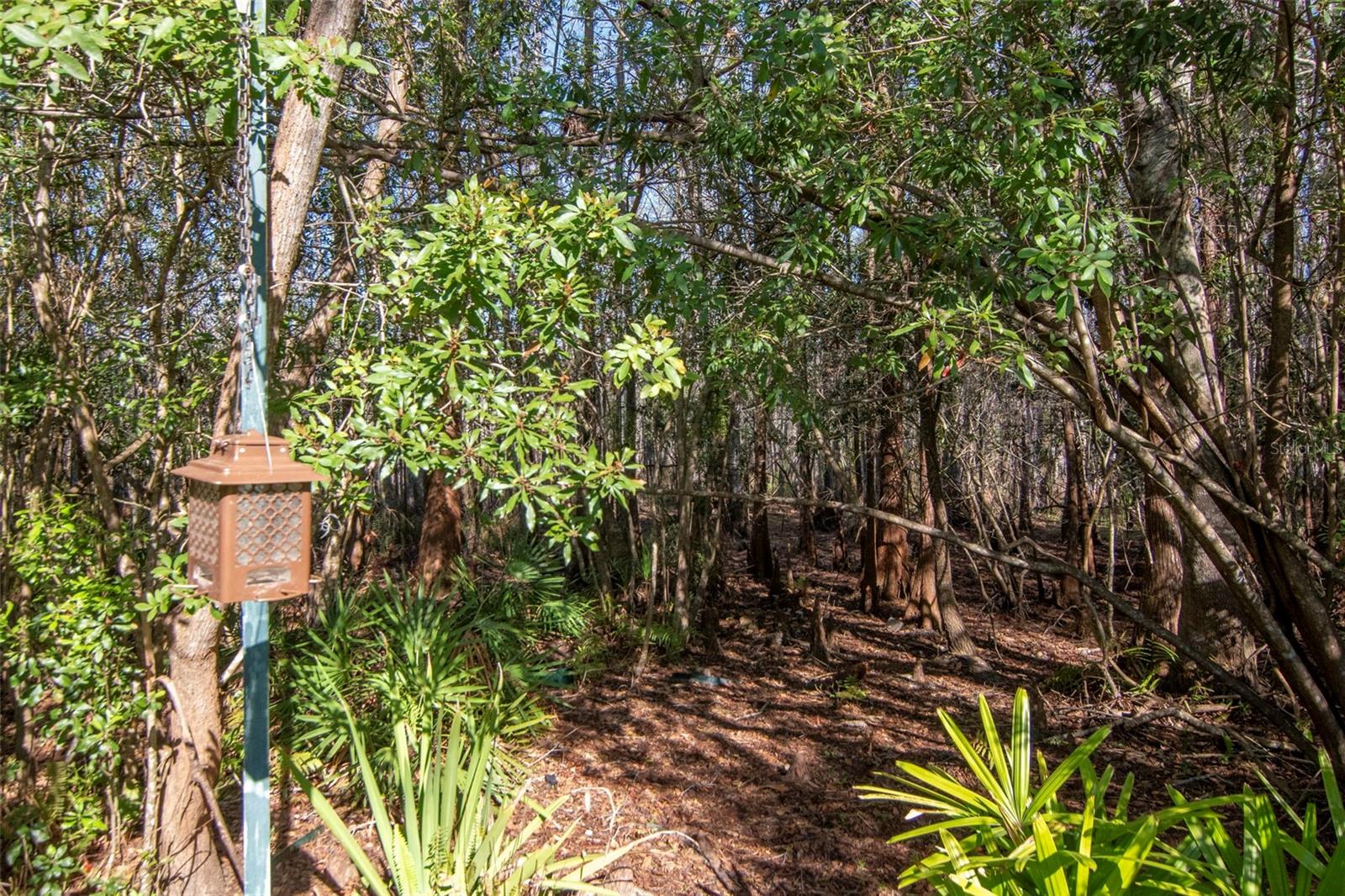 GROVES PH 03 - Residential