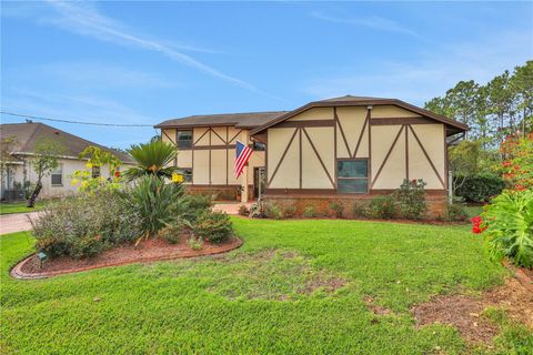 A home in PALM COAST