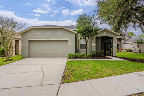 Photo of 16809 Hawkglen Place, Lithia, FL 33547 (MLS # O6333570)