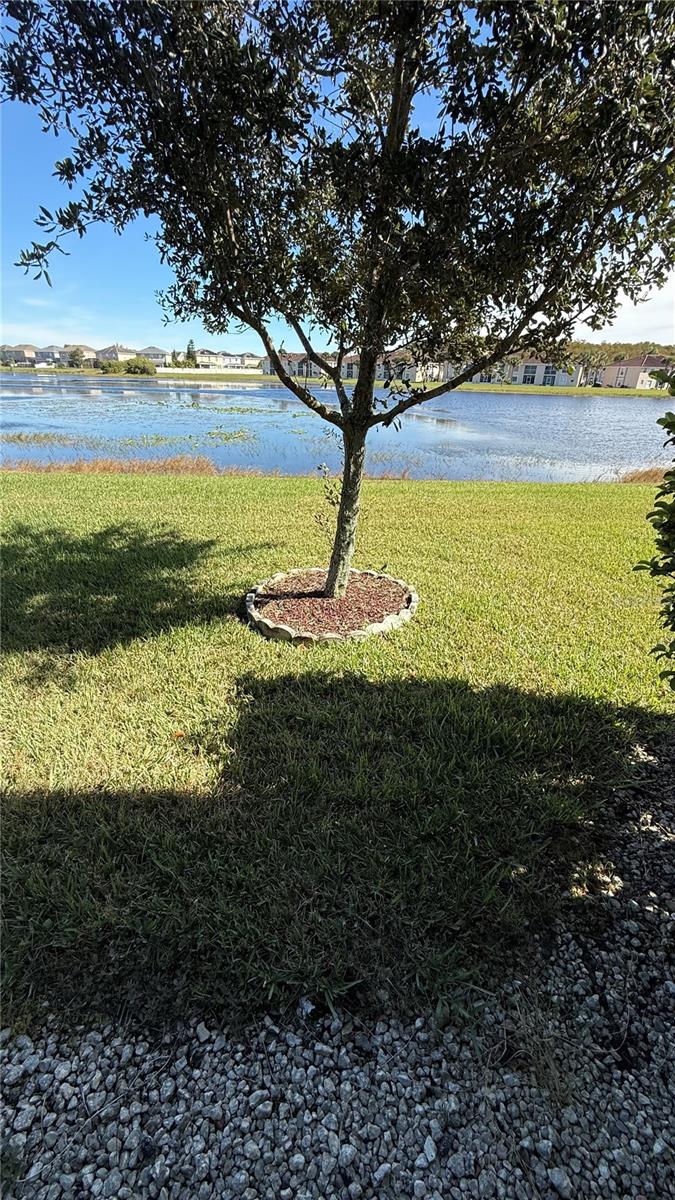 ARBORS/MDW WOODS - Residential Lease