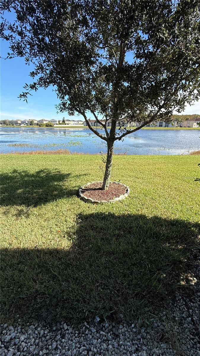 ARBORS/MDW WOODS - Residential Lease