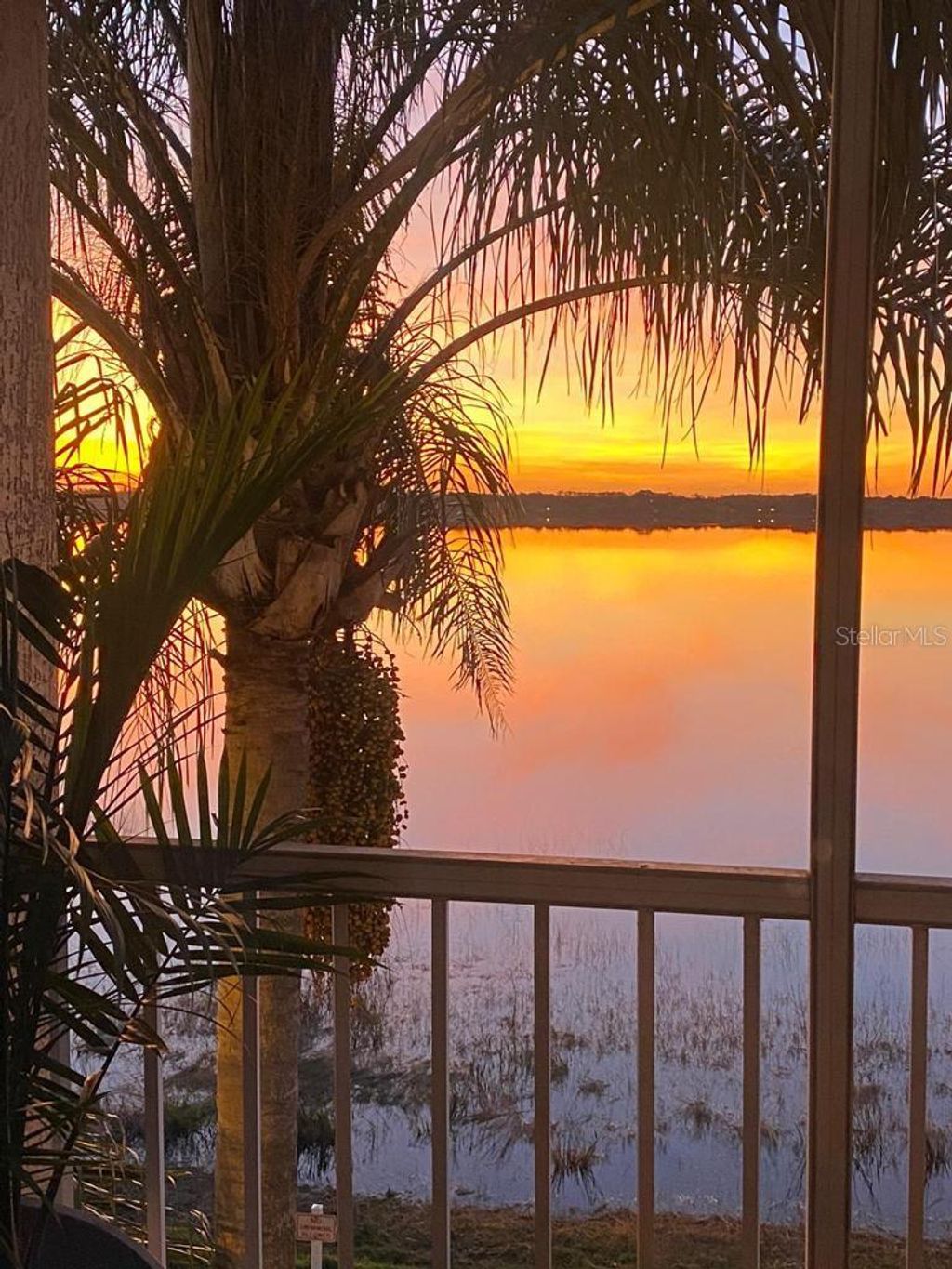 Photo of 7630 Pissarro Drive #16308, Orlando, FL 32819 (MLS # O6386257)