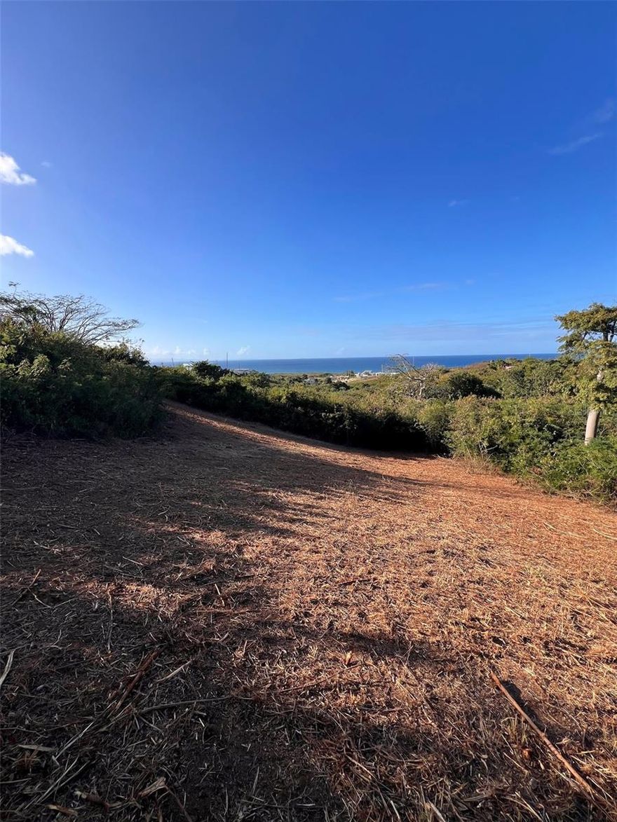 This lovely lot in Villa Borinquen is an easy buy with 2548 square meters (0.63 acre) and very nice ocean views. An added bonus is a huge Ceiba tree that is something to behold.

Easy access to the main road to run utilities from.  Quiet location with limited neighbors.  The lot is CLEARED and maintained. Furthermore the lot is located within a 15 minute walk to Bastimento Beach