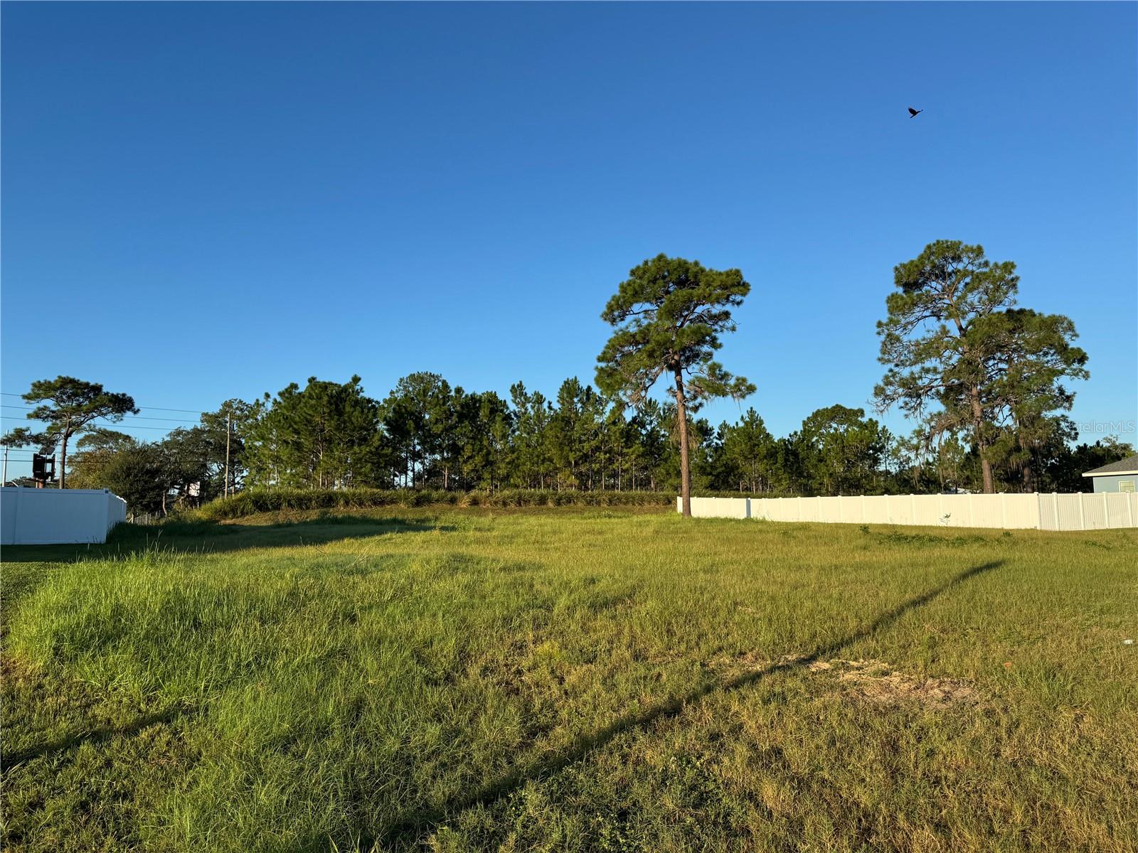 MAGNOLIA GROVE - Land