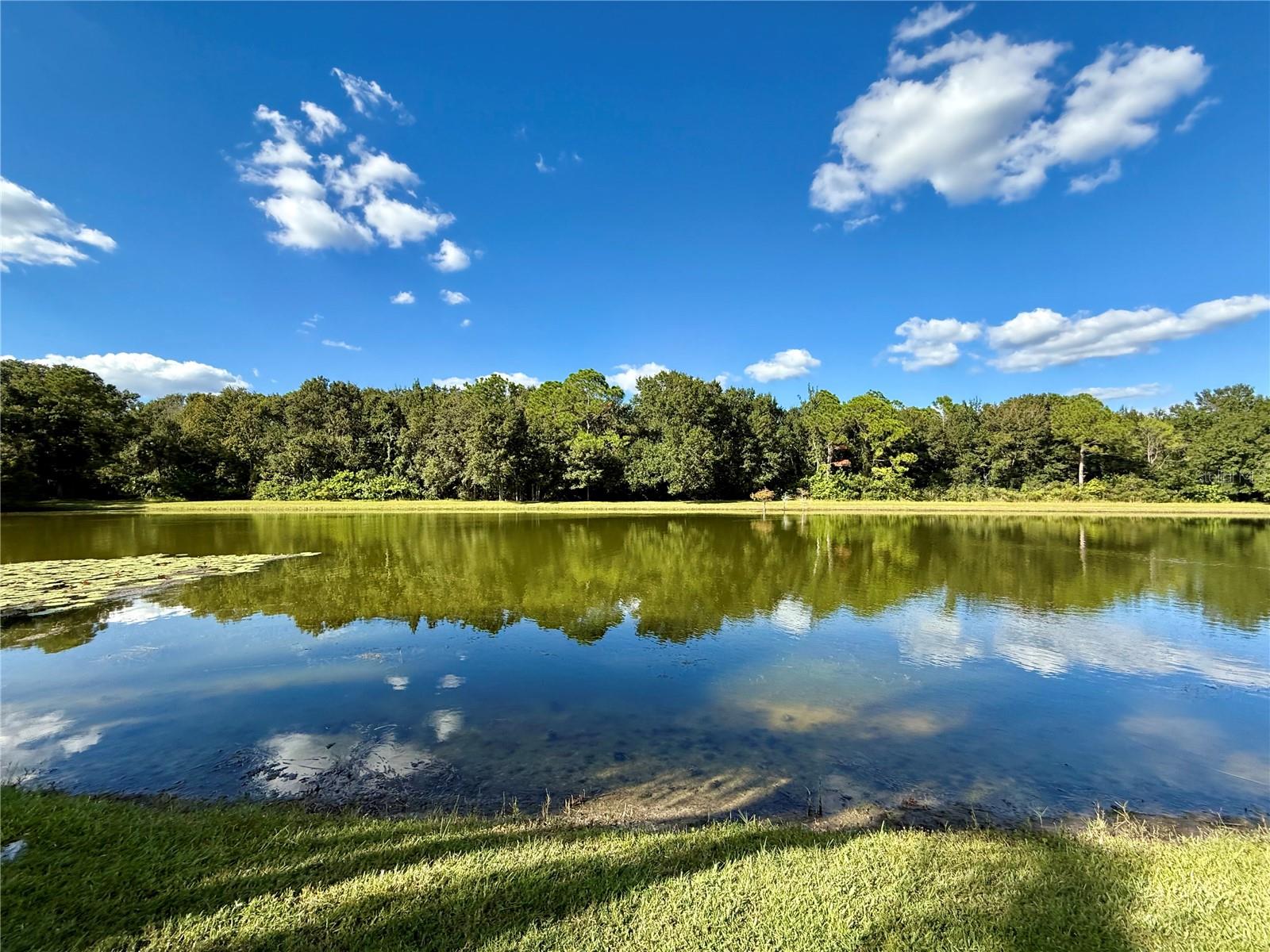 COUNTRYWAY PRCL B TR 16 - Residential Lease