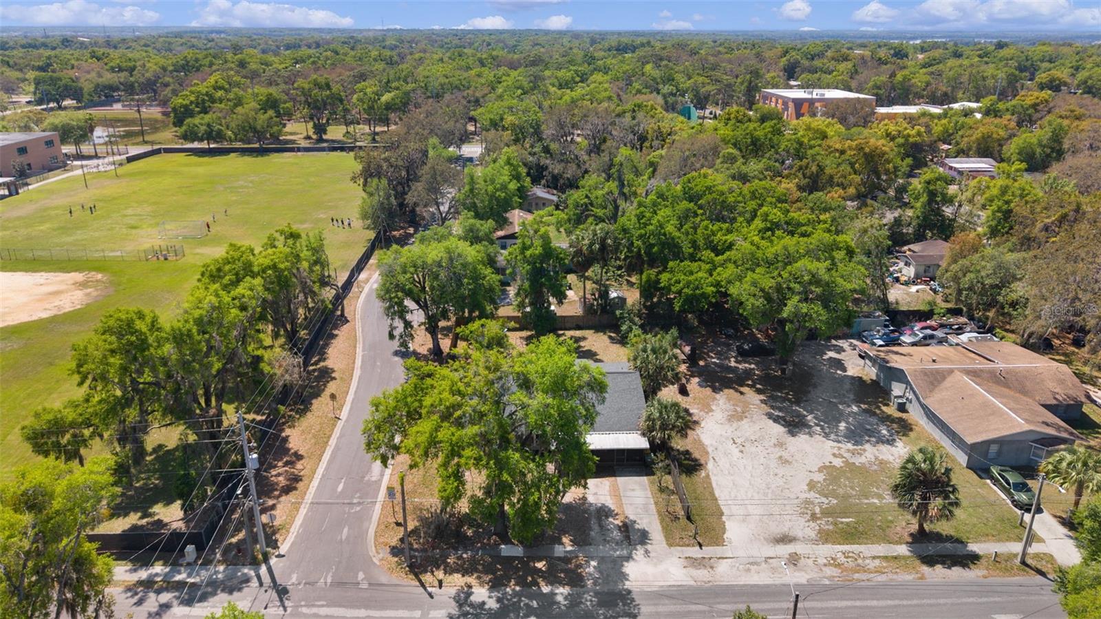 MOUNT DORA - Residential