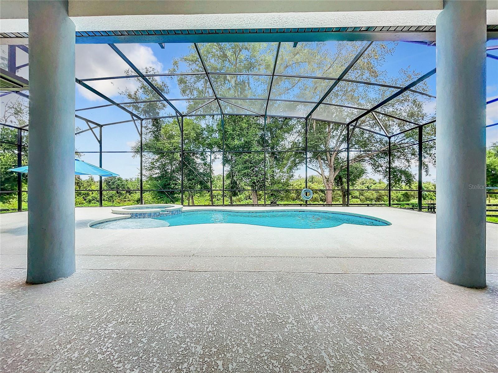 20404 WOLF SPRINGS COURT