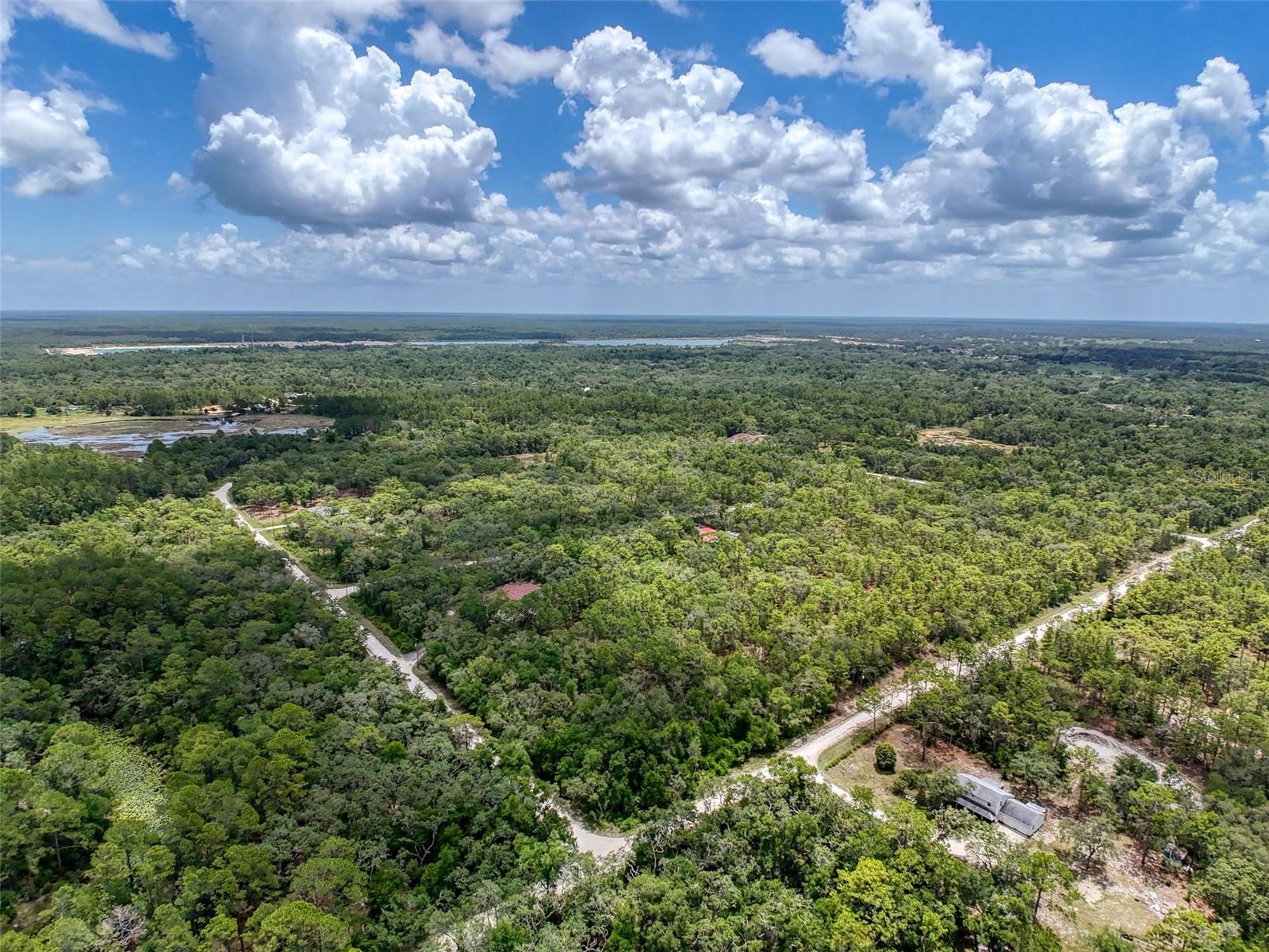 Tired of the harsh northern winters? Want to move out of the city and into a country setting with plenty of space between neighbors with some PRIVACY? Build your dream home on this 2.26 acre corner lot in Ridge Manor Estates, zoned R1C in flood zone X, so flood insurance is optional. NO HOA, NO CDD. Easy access to major cities like Tampa, Ocala and Orlando, via I-75, Cortez Blvd. and US 301. NO sight unseen offers and NO seller financing. *Seller is also selling the home directly behind it at 34335 Berryhill Dr. on an additional 2.26 acres. Purchase just the 2.26 acre vacant property, OR the house on 2.26 acres, OR both the house on 2.26 acres AND the 2.26 vacant parcel for a total of 4.52 acres. *SEE RELATED MLS listing W7877015. Parcel ID R3612221087005200010.