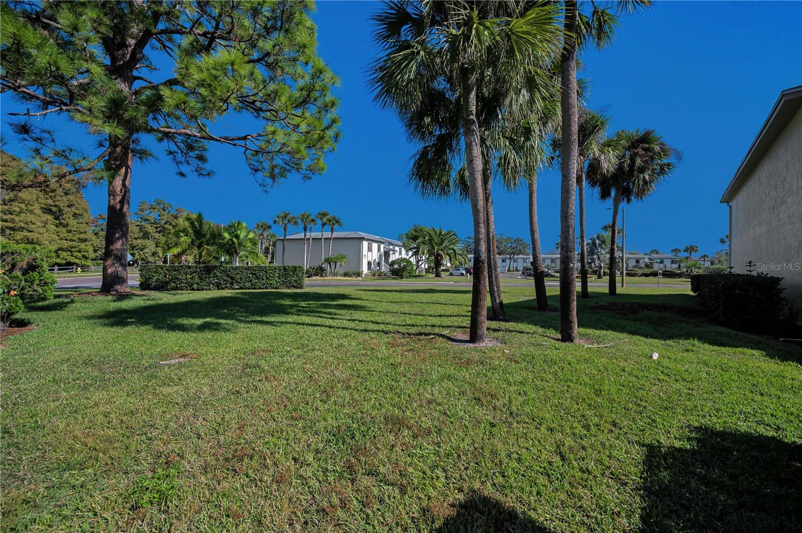 EAST LAKE WOODLANDS CYPRESS ESTATES - Residential