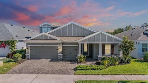 A home in LAND O LAKES